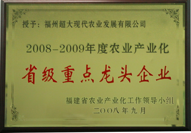 超大 超大現(xiàn)代農(nóng)業(yè) 超大現(xiàn)代農(nóng)業(yè)集團