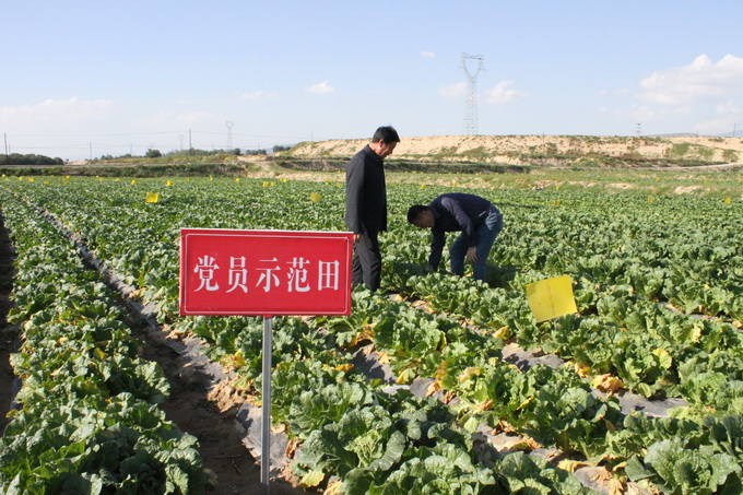 超大 超大現(xiàn)代農(nóng)業(yè) 超大現(xiàn)代農(nóng)業(yè)集團